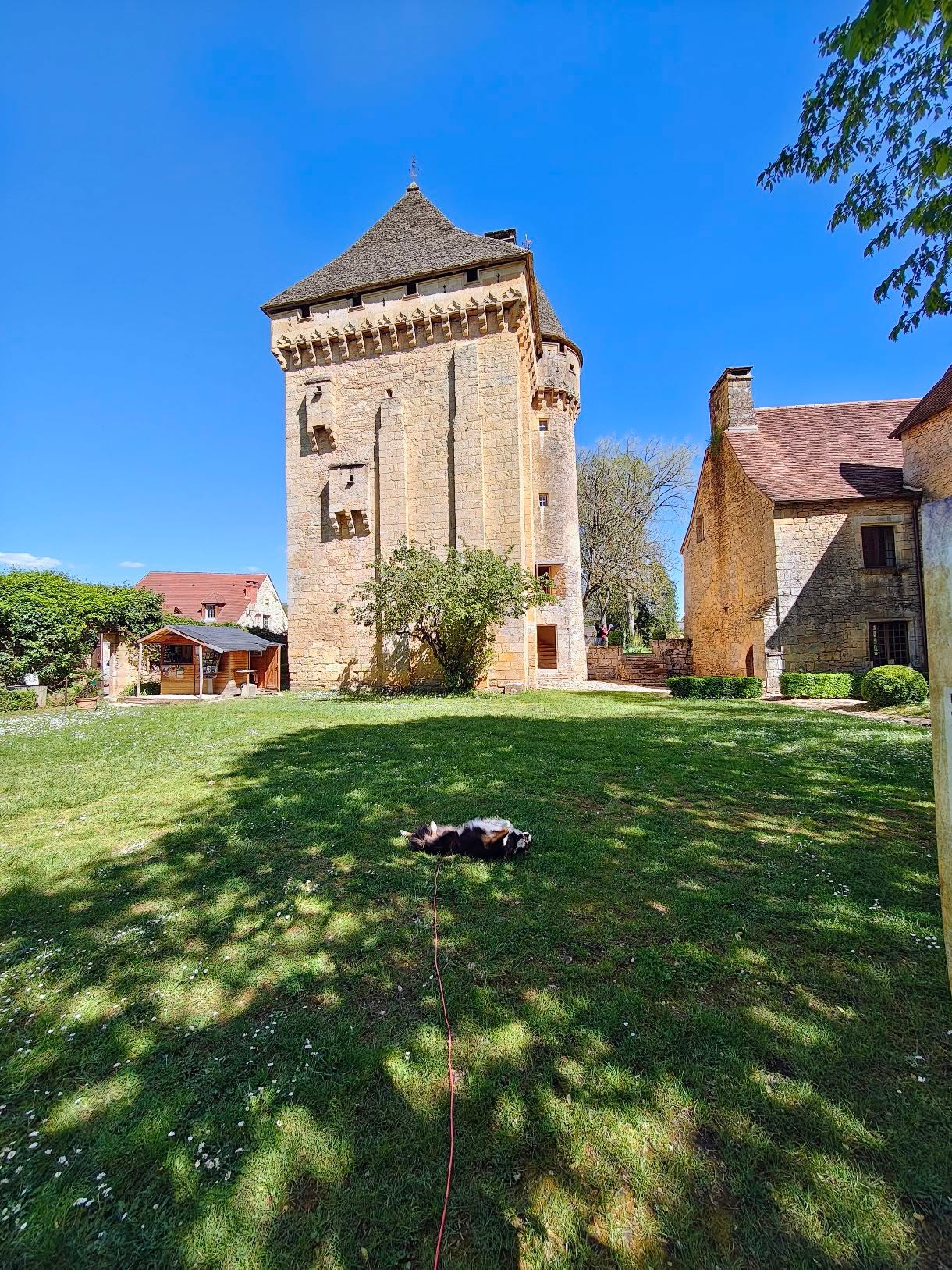donjon manoir et jardin de la Salle chien autorisé