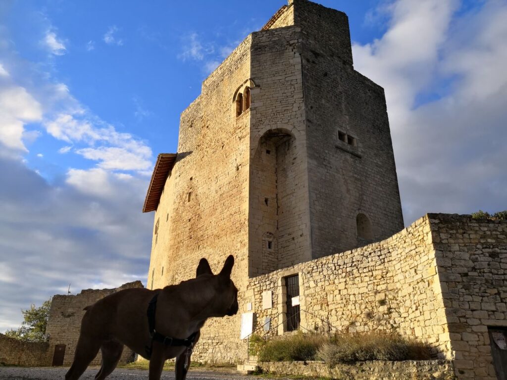 La Porte Sud Ardèche avec votre chien : une destination idéale.