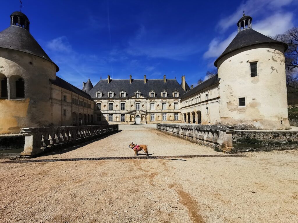 côte d'or avec chien château musée