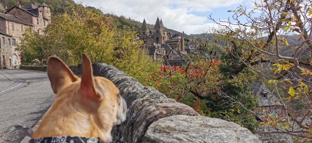 Les Plus Beaux Villages de France à visiter avec son chien
