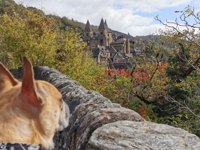 Les Plus Beaux Villages de France à visiter avec son chien