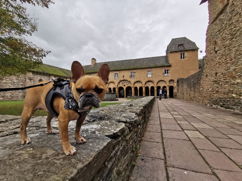plus beaux villages de france avec chien