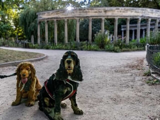 Parc Monceau