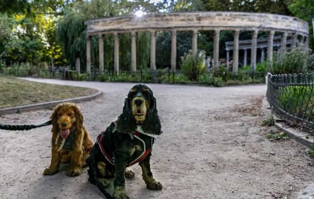 parc monceau paris chien autorisé