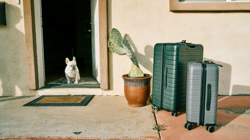Départ en vacances à la dernière minute : comment faire garder son chien en quelques jours ?