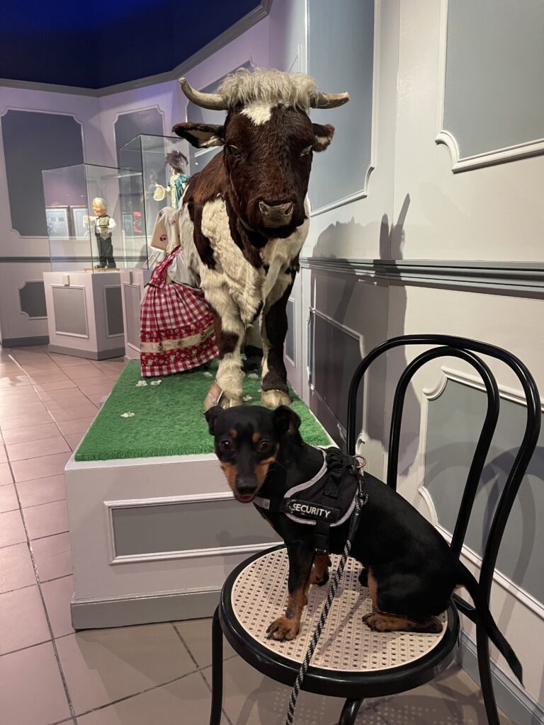 Musée des Automates activité avec chien la rochelle
