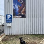 visite Musée des Automates avec chien