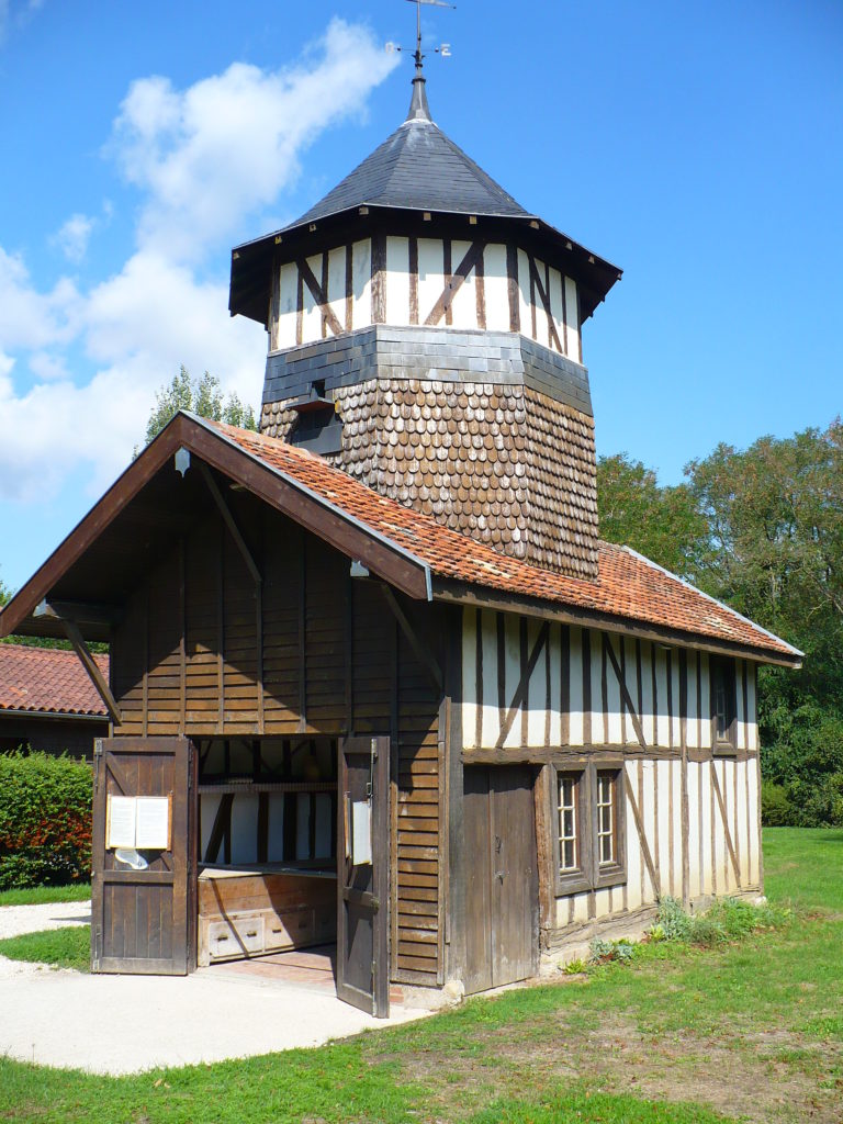 visite village Musée du Der avec chien