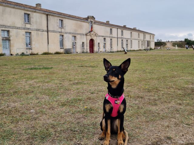 Île d'Oléron