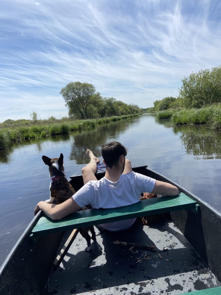 arche briéronne accepte chien