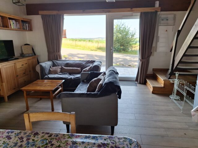Jaune 12 Bonsoy Louloudia - location dog friendly