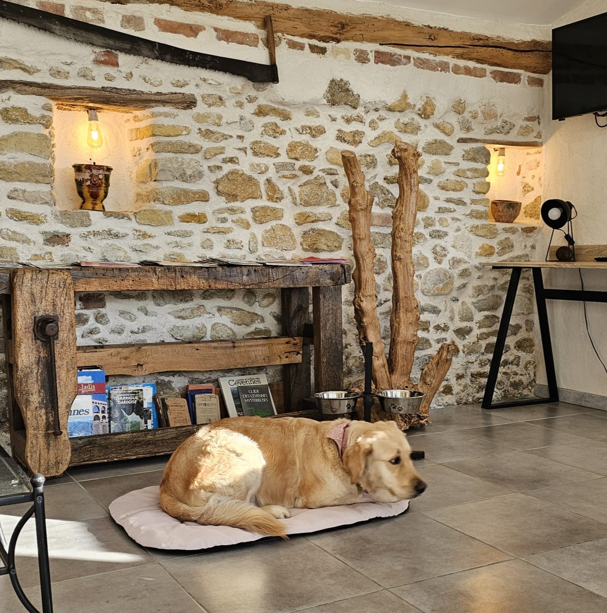 Ancienne bergerie cévenole avec spa