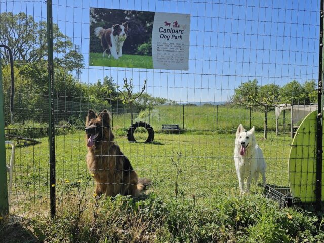 L'Escale Occitane - Camping dog friendly