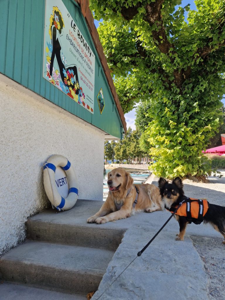 le bounty location de bateau annecy accepte chien