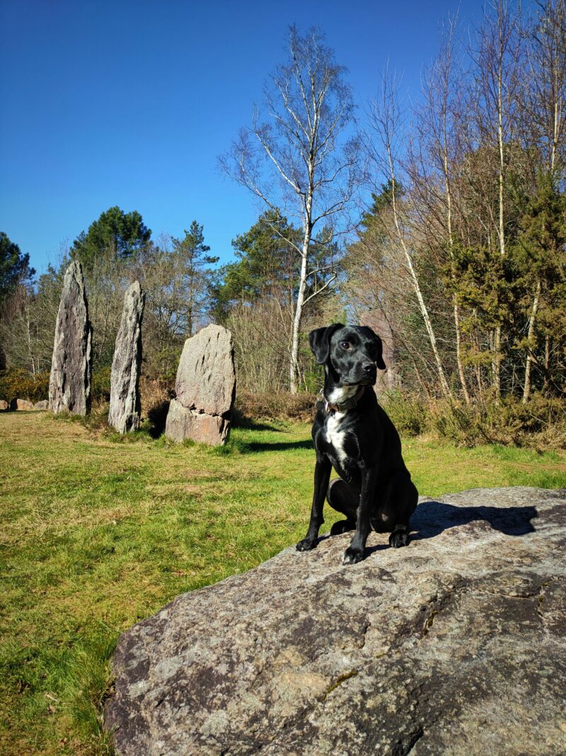 Les Menhirs de Monteneuf