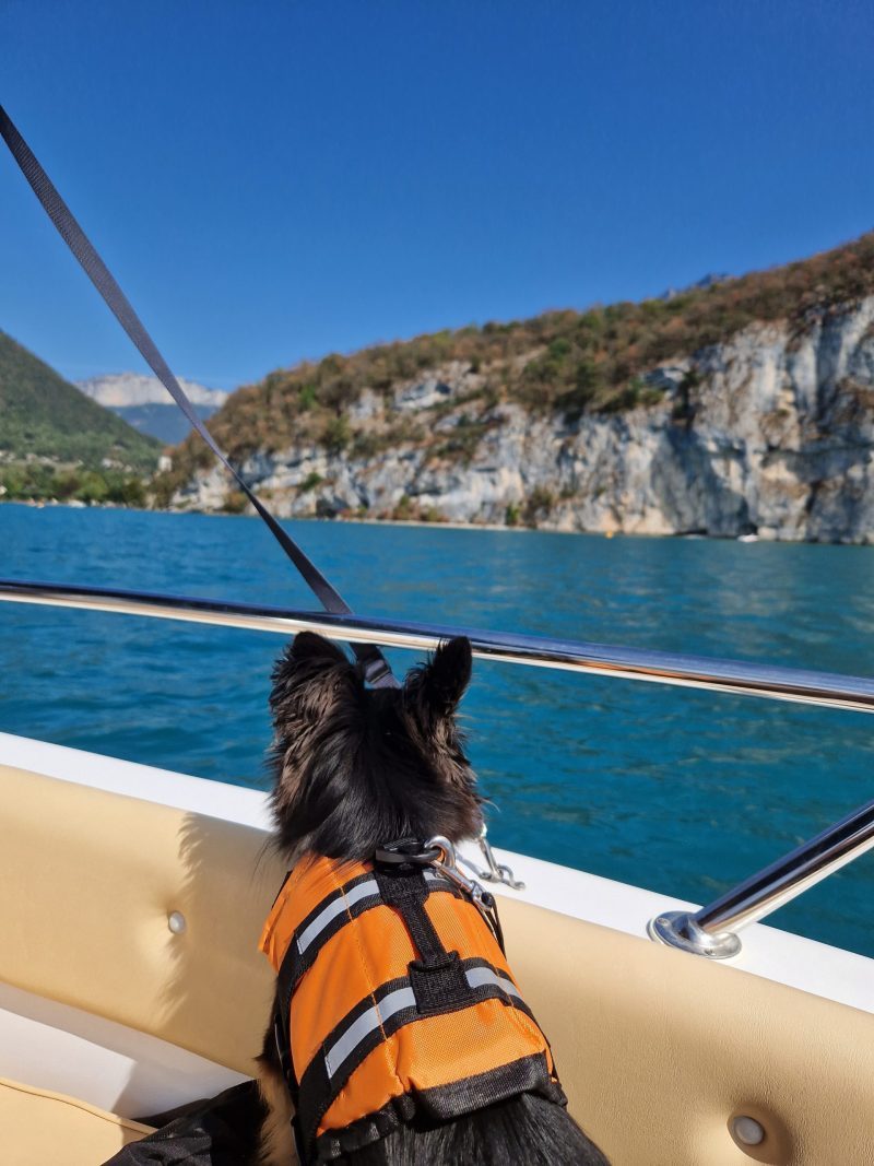 location de bateau annecy accepte chien le bounty